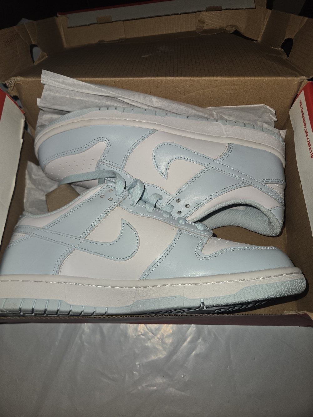 Nike Low Dunk Light Blue and White Sneakers